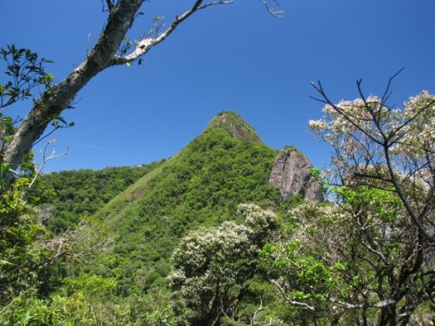 pico-da-tijuca-mirim-via-trilha-da-serrilha-da-caveira-caminhadas-ecologicas-rj